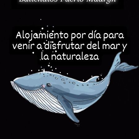 Ballenatos Madryn بويرتو مادرين المظهر الخارجي الصورة