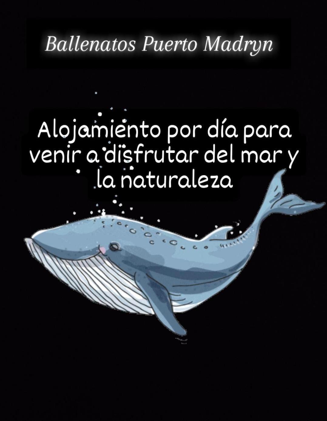 Ballenatos Madryn بويرتو مادرين المظهر الخارجي الصورة